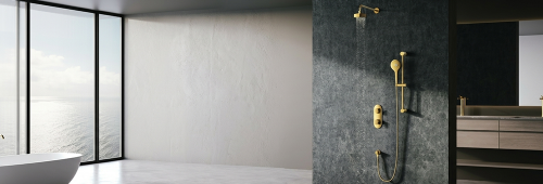 Rain Shower Head vs Regular Shower Head